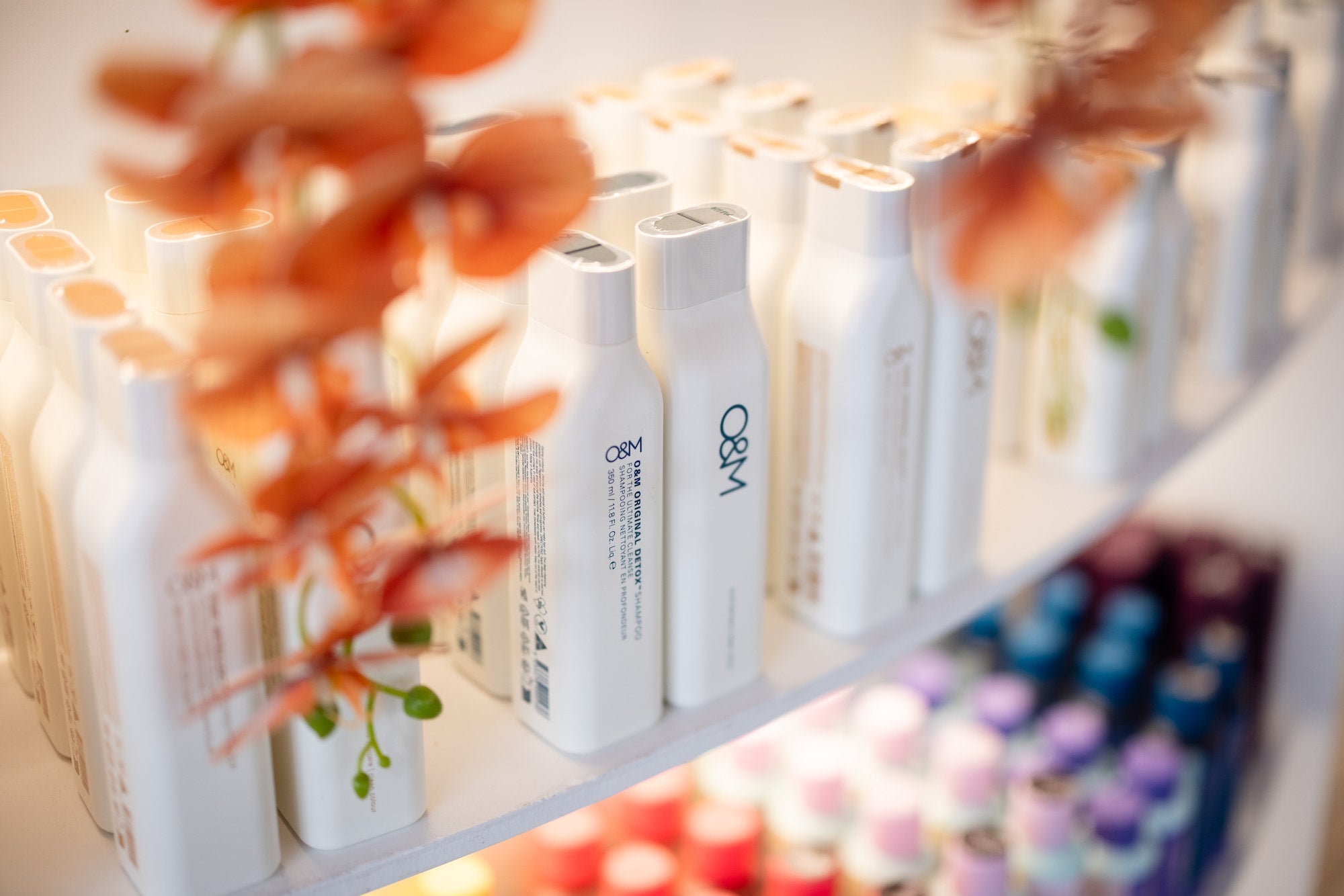 Shampoo & Conditioner